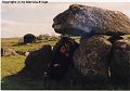 15_dolmen